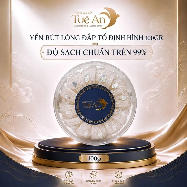 Yến rút lông đắp tổ định hình 100gr Tuệ An